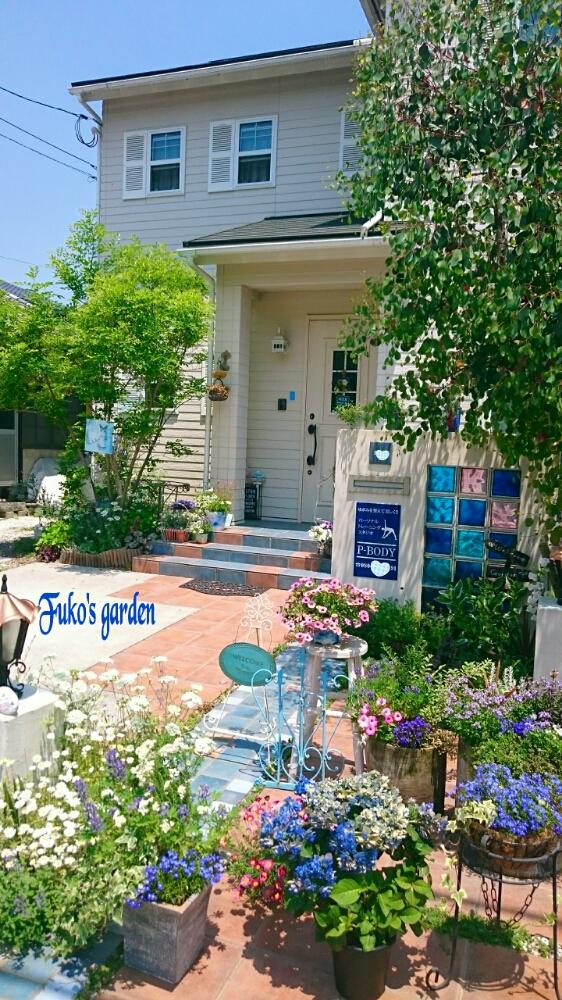 シマトネリコの投稿画像 By ふうこさん 花のある暮らしとブルーガーデン 17月5月28日 Greensnap グリーンスナップ