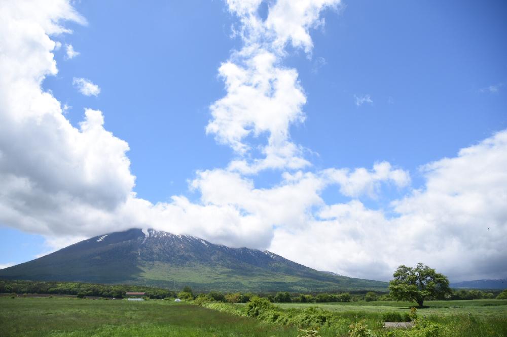 牧草地の投稿画像 By 銀月さん サクラと岩手山とおでかけ先といい天気と山のある風景 17月5月28日 Greensnap グリーンスナップ