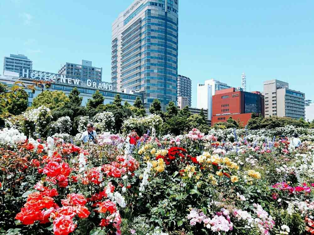 apoさんの山下公園への投稿