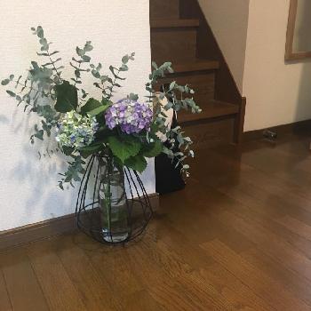 大ぶりの枝物の画像 by コアニーさん | 玄関と今日のお花と大ぶりの枝物と紫陽花 アジサイ あじさい