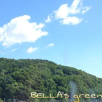 藻岩山の画像 by BELLAさん | お出かけ先と植中毒と北海道と今日の一枚と藻岩山