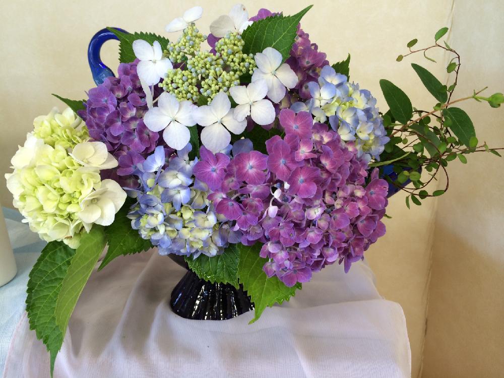 棚の投稿画像 By はなしーずさん 紫陽花 アジサイ あじさいと切り花と植中毒とフラワーアレンジメントと紫陽花 アジサイ あじさいと切り花 と植中毒とフラワーアレンジメント 17月6月17日 Greensnap グリーンスナップ Greensnap グリーンスナップ