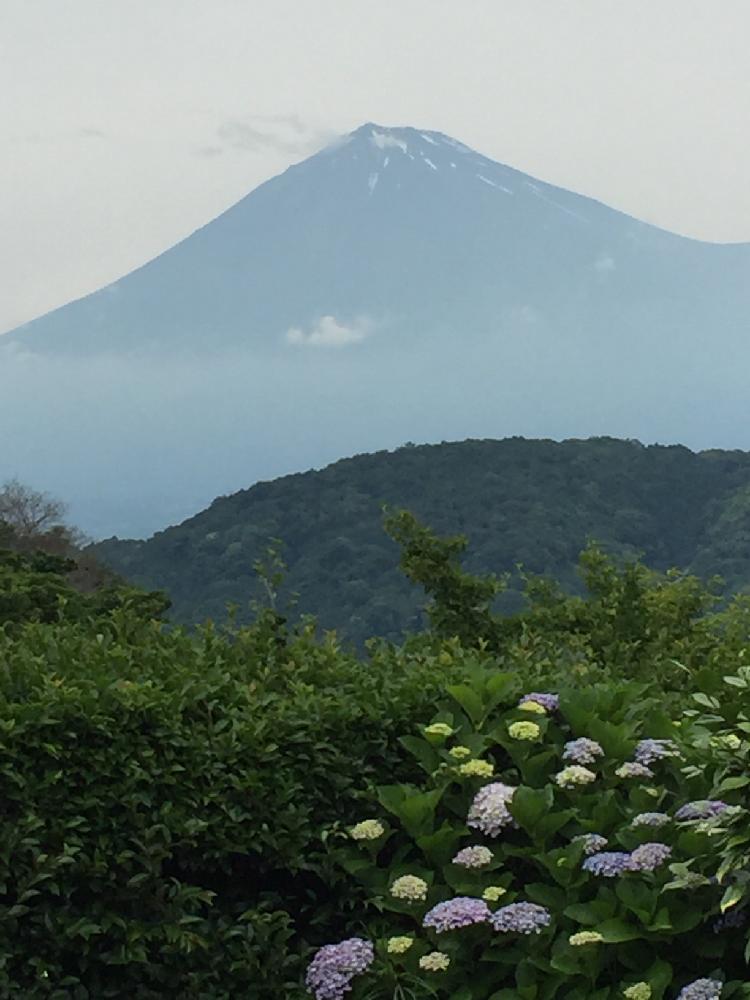 アジサイの投稿画像 By トカッチ さん 心癒される風景 と今日の一枚 17月6月18日 Greensnap グリーンスナップ