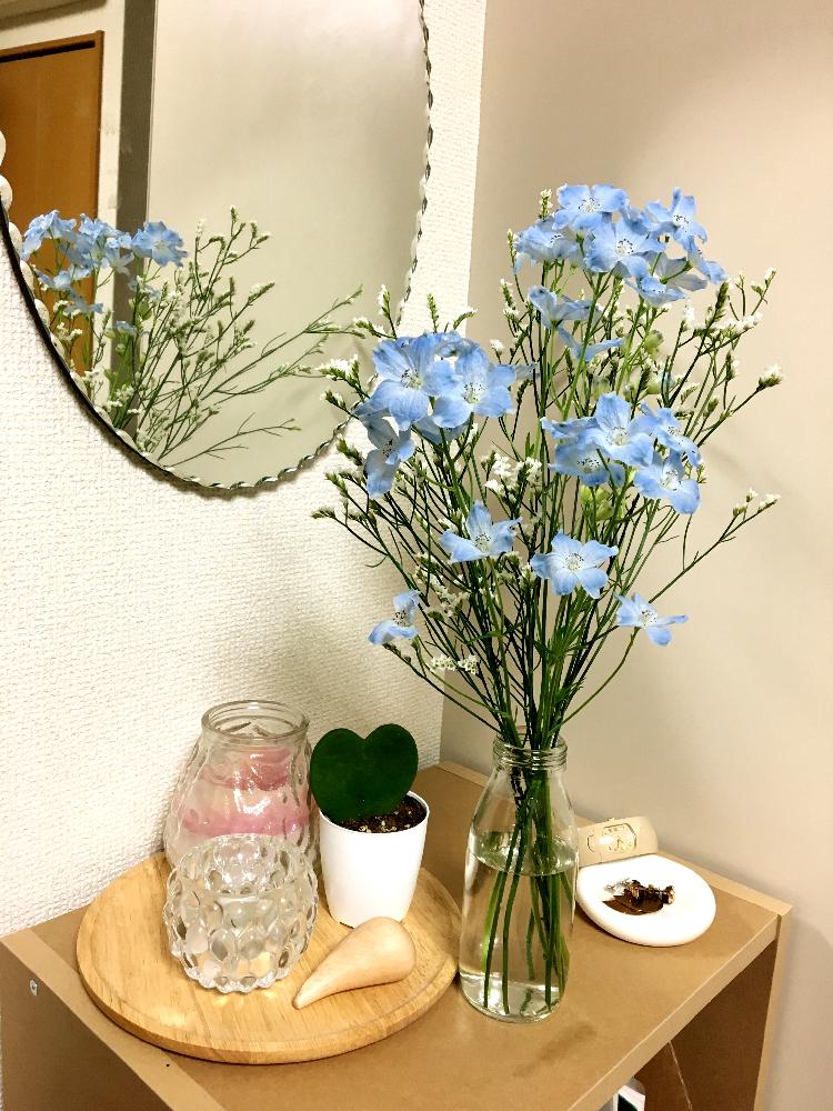 スターチスの投稿画像 By あみさん デルフィニウムと花のある暮らしと一人暮らし 17月6月25日 Greensnap グリーンスナップ