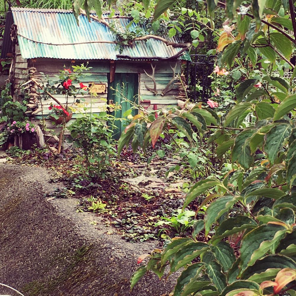 石積みの投稿画像 By Konkon さん お庭の広さは217坪とcainzグリーンdiyコンテストと我が家は動物園と流木とdiyとdriftwood Gardenと鶏小屋 17月6月28日 Greensnap グリーンスナップ