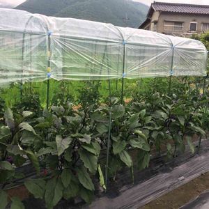 野菜,はたけ,収穫,収穫物,自家製野菜の画像