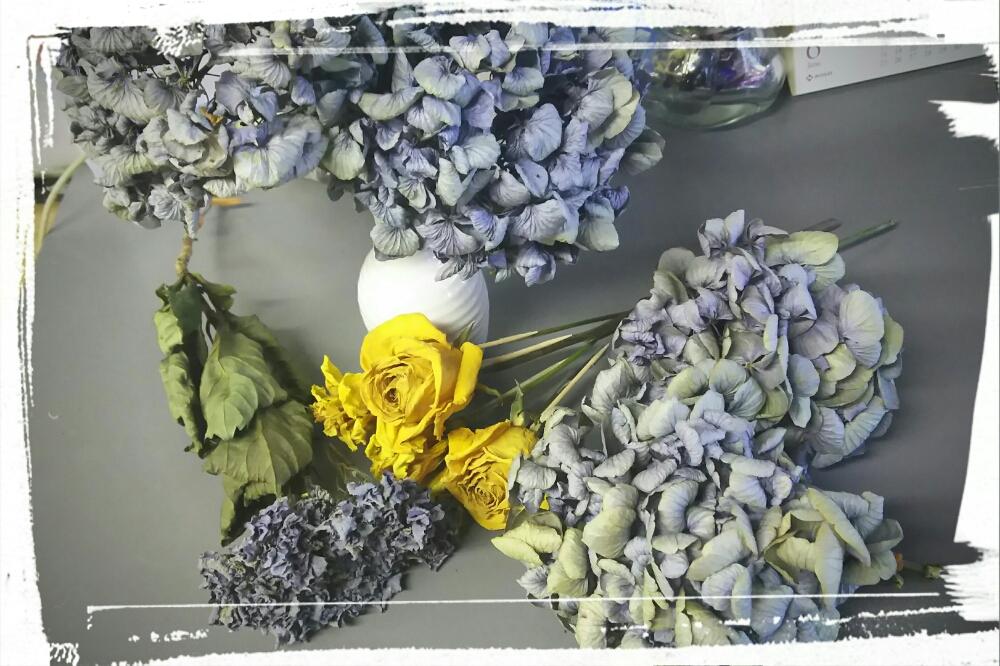 トルコキキョウの投稿画像 By ビブさん 薔薇と紫陽花と部屋とドライフラワーとドライフラワー にする と失敗は成功の元 と癒しのひと時と逆さ吊りと ドライフラワーとドライフラワー にする と失敗は成功の元 と癒しのひと時と逆さ吊り 17月6月29日 Greensnap