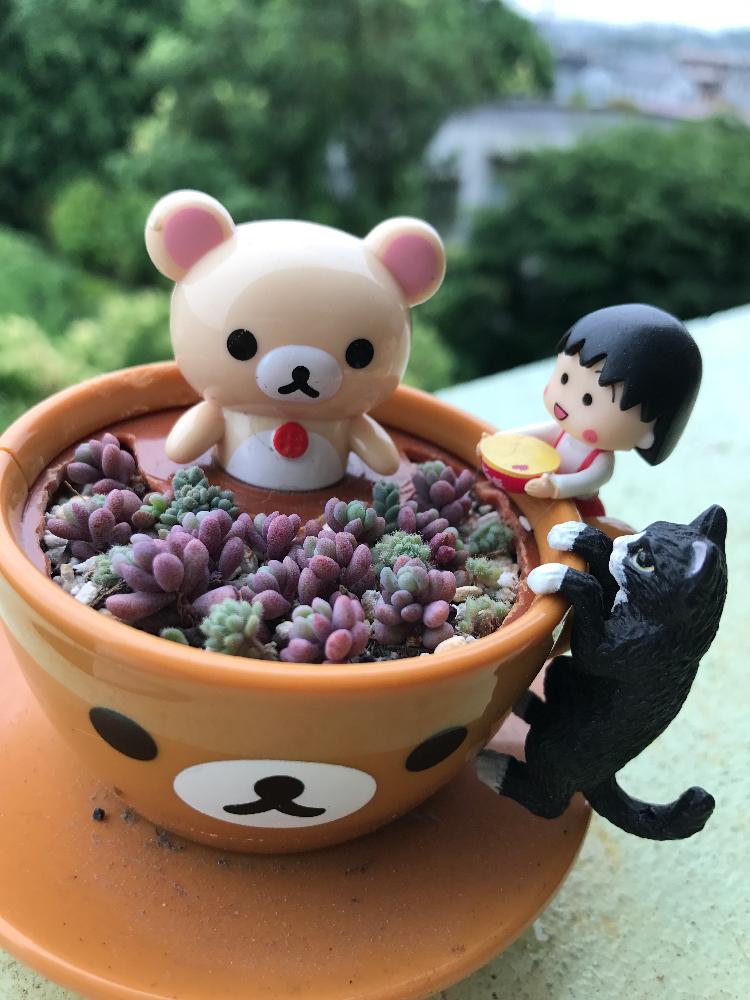 挿し木 挿し芽 してみよう٩ W و Greensnap グリーンスナップ