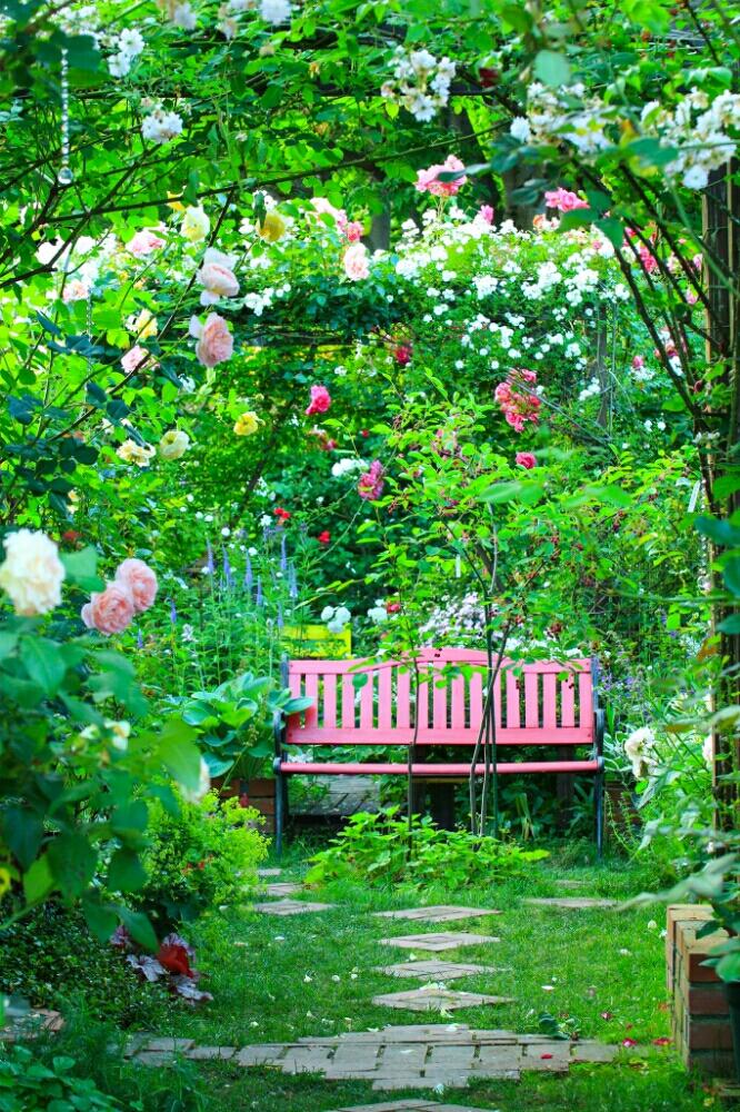 バラのアーチの投稿画像 By Emuzupapaさん オープンガーデンとつるバラとバーゴラとdiyと100万枚記念 とっておきの植物 コンテストとガーデニングと花のある暮らしとボーダーガーデンとバラを楽しむと庭の宿根草 17月7月3日 Greensnap グリーンスナップ