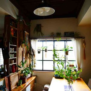 多肉植物,100均,DIY,リメ缶,ジャンクの画像