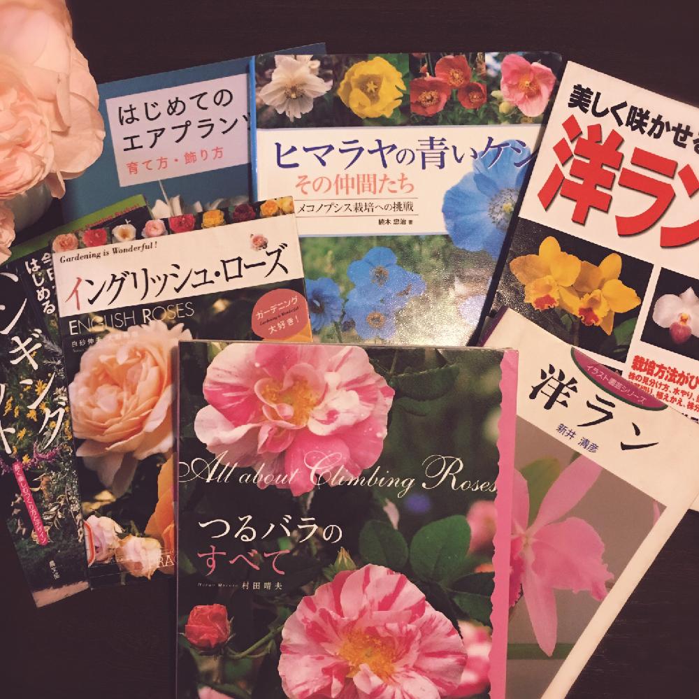 デスクの投稿画像 By Tupi さん 癒しと図書館の本と園芸本と植中毒と花のある暮らしと植物図鑑と癒しと図書館の本と園芸本と植中毒と花のある暮らしと植物図鑑 17月7月6日 Greensnap グリーンスナップ Greensnap グリーンスナップ