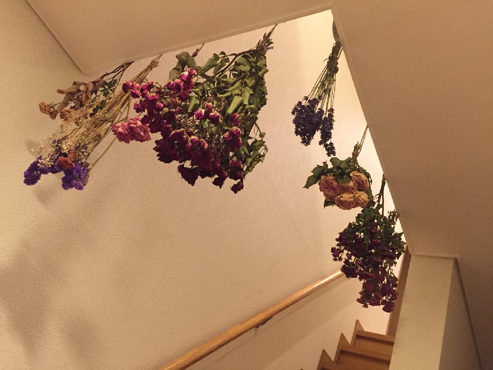 階段 廊下の投稿画像 By プルメリアさん ドライフラワーのある暮らしとドライフラワーのある暮らし 17月7月8日 Greensnap グリーンスナップ Greensnap グリーンスナップ