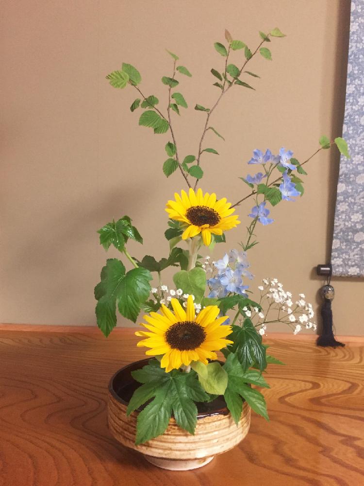 ヒマワリの投稿画像 By てーちゃんさん サンリッチフォトコンといけばなと華道と姫水木と サマーアレンジ コンテストとカスミソウと和室とサンリッチフォトコンといけばなと華道と サマーアレンジ コンテスト 17月7月16日 Greensnap グリーンスナップ