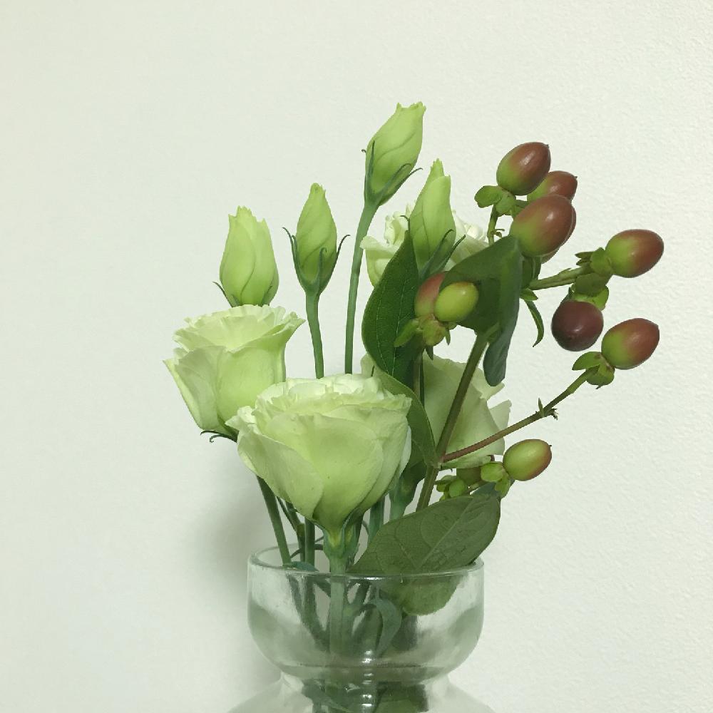 ヒペリカムの投稿画像 By Kiiniiさん トルコキキョウと花のある暮らしと花瓶 17月7月30日 Greensnap グリーンスナップ