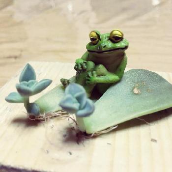物思いにふけるカエルの投稿画像一覧 Greensnap グリーンスナップ