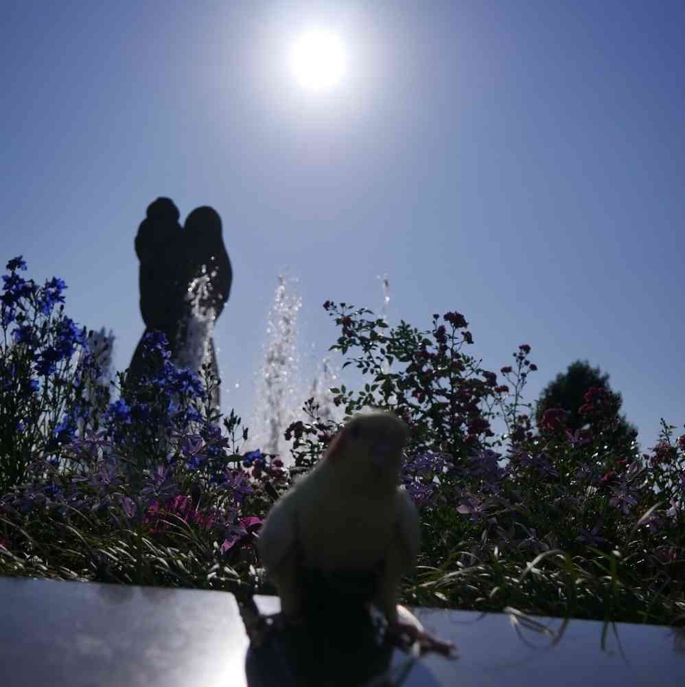 ゆず花さんの山下公園への投稿