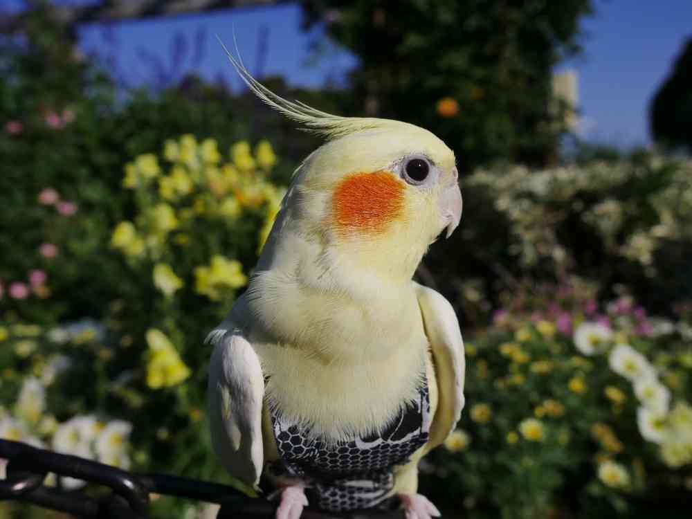 ゆず花さんの山下公園への投稿