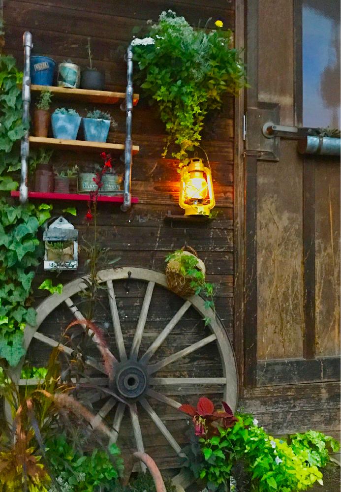 Cainzグリーンdiyコンテストの投稿画像 By 庭遊びさん 塩ビパイプと植物と古道具と車輪と物置小屋で 17月8月18日 Greensnap グリーンスナップ