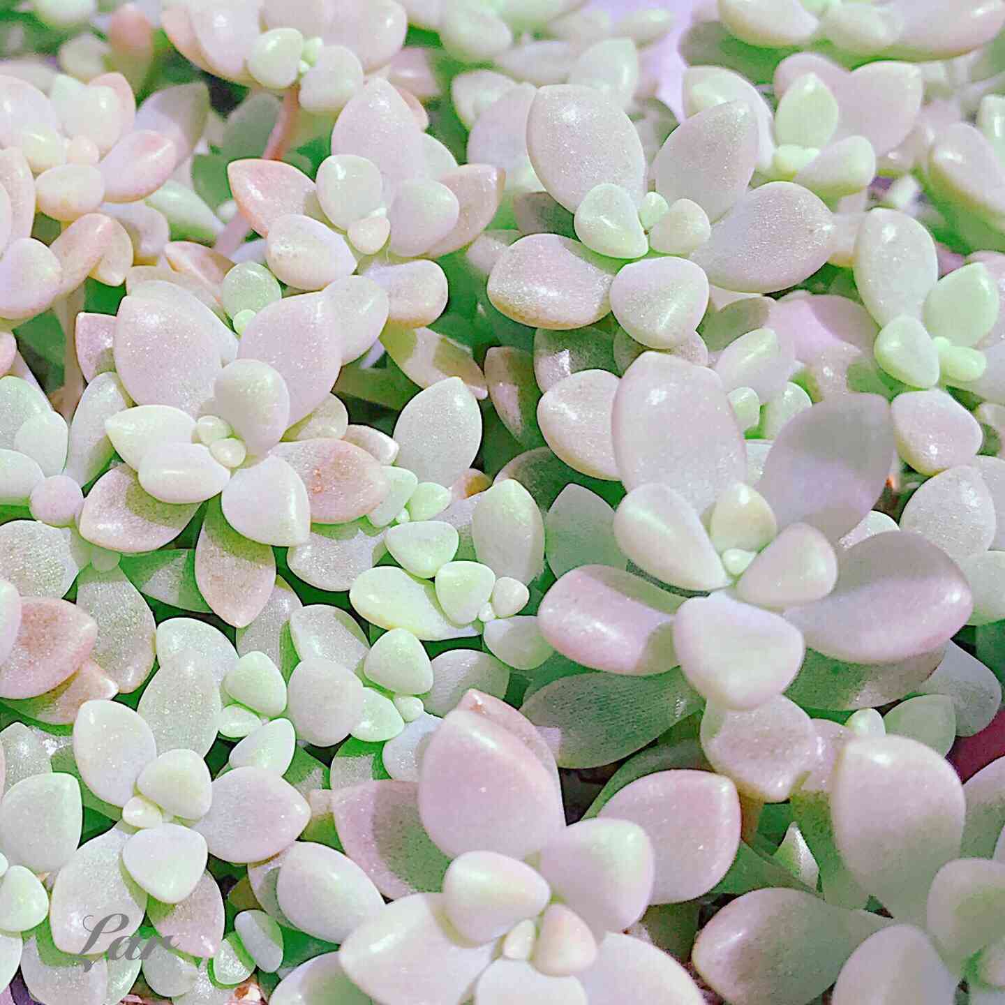 1503451960387_photo.jpg?d=