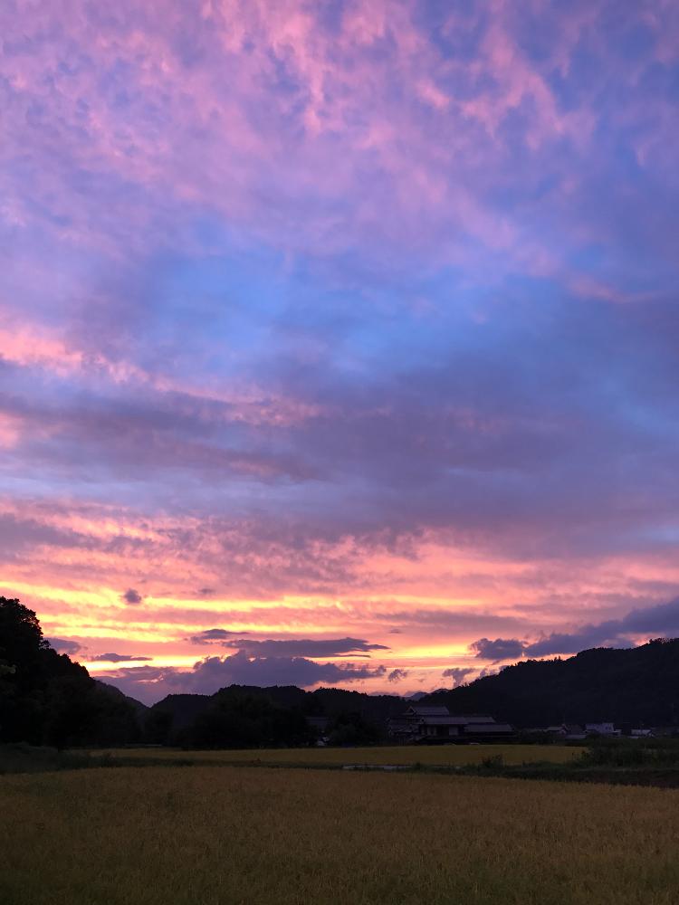 夕方の風景の投稿画像 By ゆきりんさん 綺麗と色付きましたと西の空と家からの眺め 17月8月26日 Greensnap グリーンスナップ