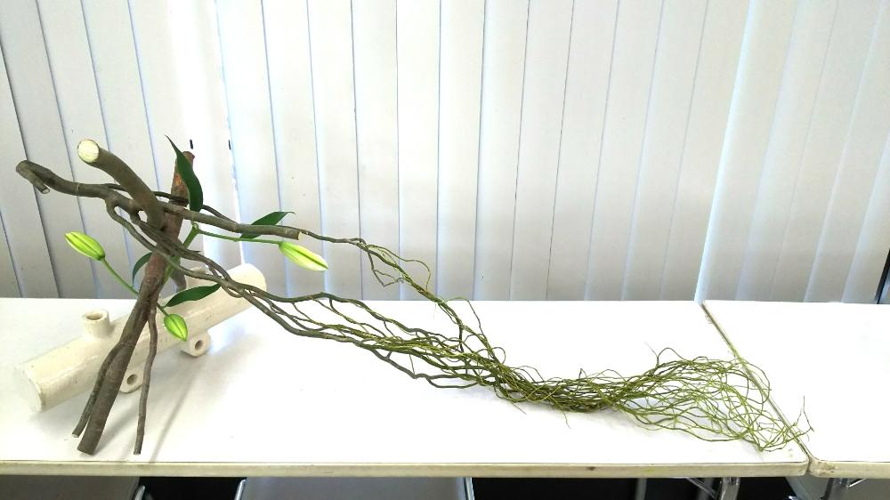 みどりのある暮らしの投稿画像 By 緑と光とさん ユリ科とグリーンのある暮らしと百合の花と今日の一枚と今日のお花といけばなと花のある暮らしと雲竜柳とgreensnapと生け花とユリの花とグリーン 17月8月31日 Greensnap グリーンスナップ