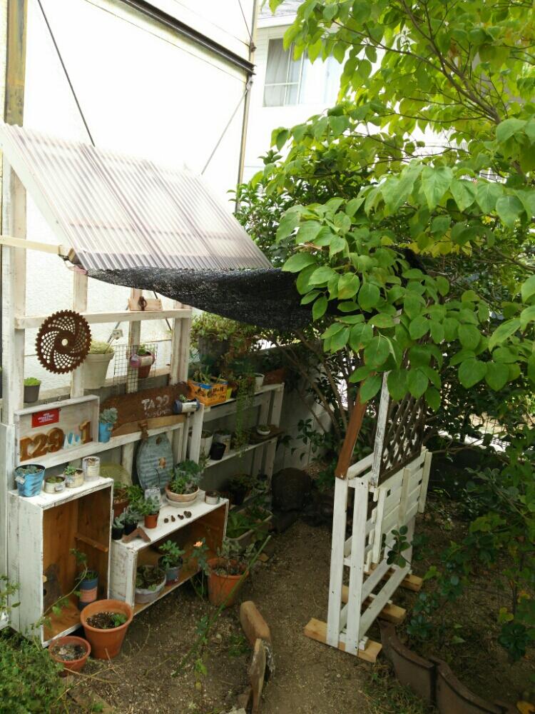 手作りの投稿画像 By るるさん 廃材利用と植中毒と岡山県支部と手作り棚と古道具と岡山県支部no 9 17月9月4日 Greensnap グリーンスナップ 手作りの投稿画像 By るるさん 廃材利用と植中毒と岡山県支部と手作り棚と古道具と岡山県支部no 9 17月9月4日 Greensnap グリーンスナップ