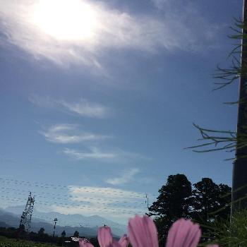 特別な日の画像 by チャッピーさん | お出かけ先とうれしいな♪といつもありがとう♡とありがとう❤️と富山支部とがんばるよ〜☆と大好き♡︎ʾʾと特別な日