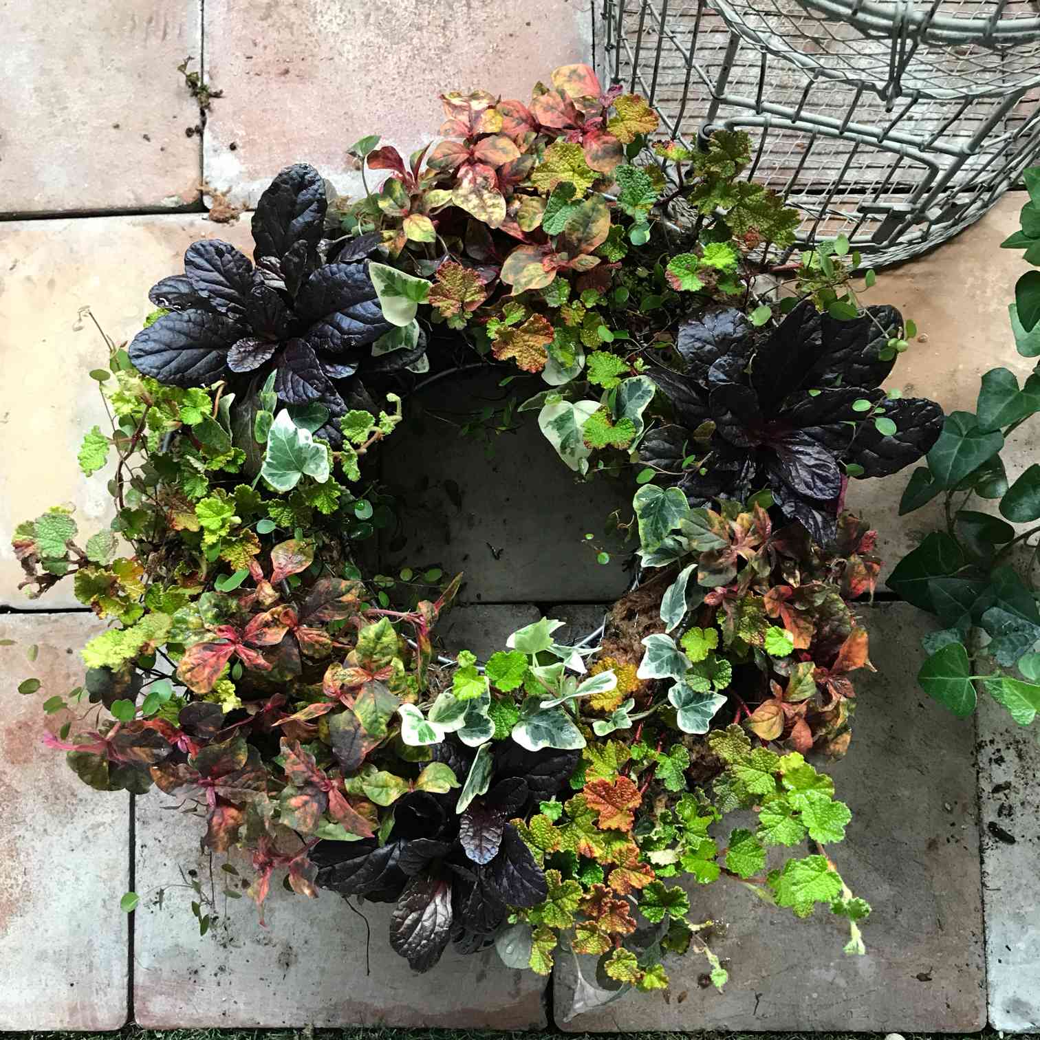 リース型寄せ植え仕立て直し❤︎未公開シーン｜🍀GreenSnap