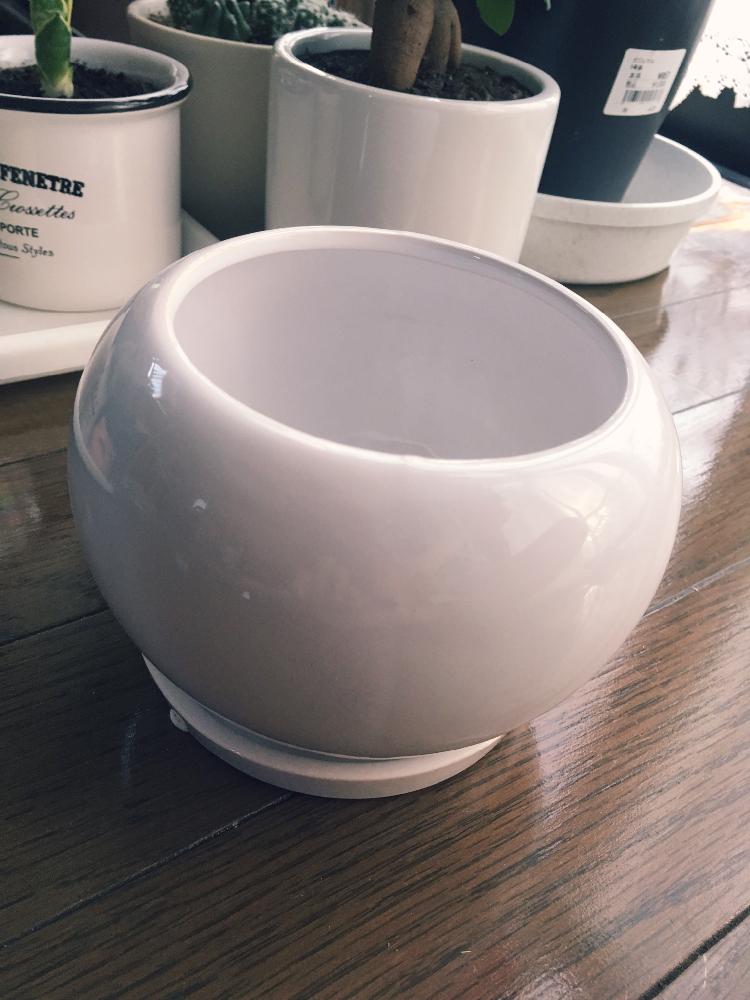 マティス スープ 報酬の 植木鉢 ホームセンター Lawrencedavis Org