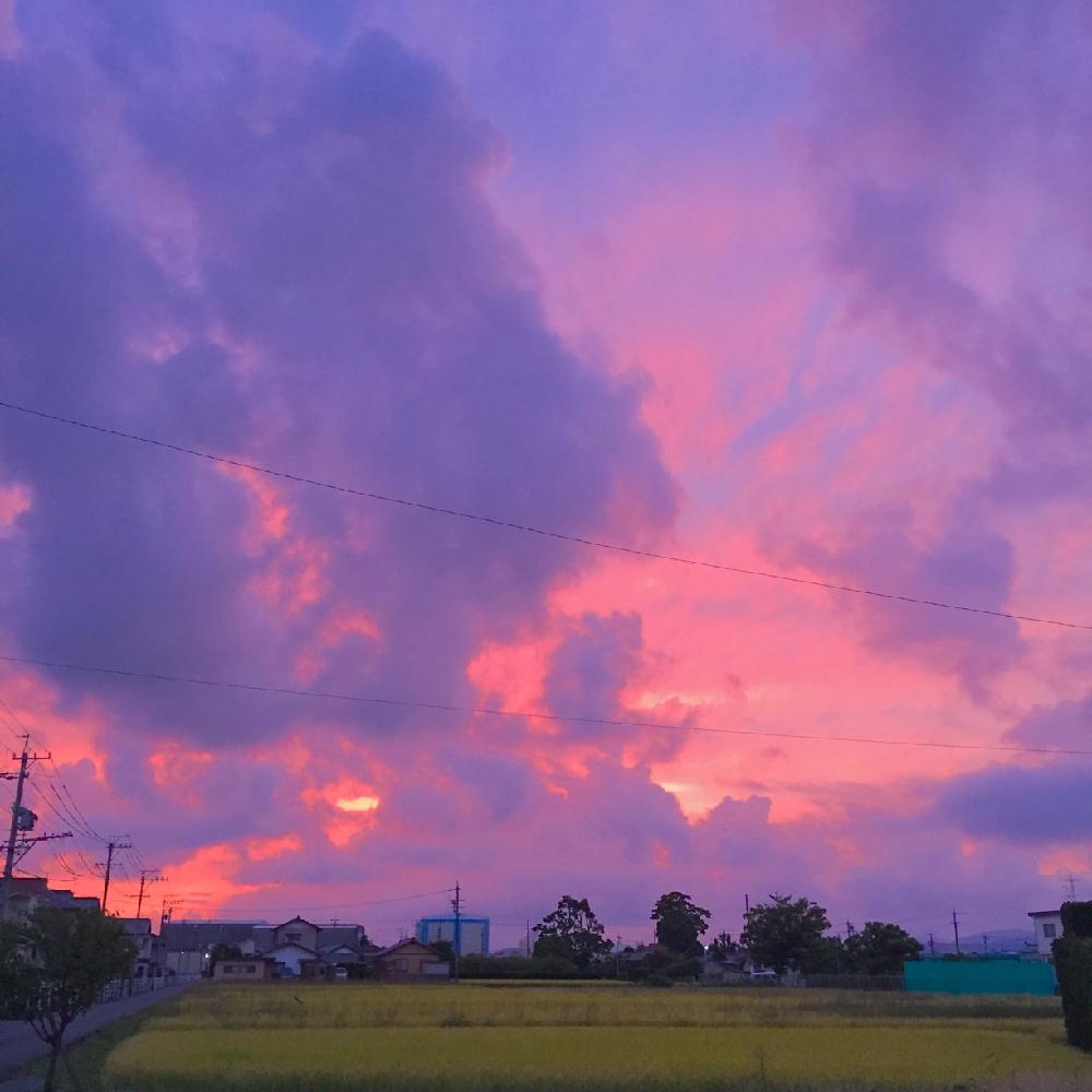 田んぼの投稿画像 By はち さん 小さな庭と夕方の一枚と夕焼けと今日の一枚と夕方の一枚と夕焼けと今日の一枚 17月9月24日 Greensnap グリーンスナップ Greensnap グリーンスナップ 田んぼの投稿画像 By はち さん 小さな庭と夕方の一枚と夕焼けと今日の一枚と夕方の一枚と夕焼けと今日の一枚 17月9月24日 Greensnap グリーンスナップ Greensnap グリーンスナップ