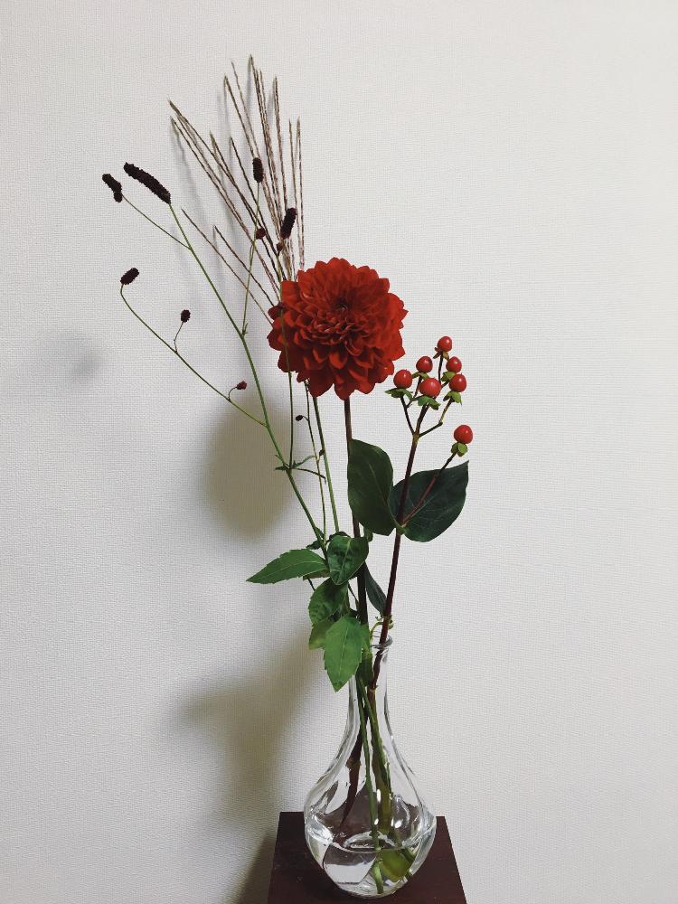 ダリアの投稿画像 By はるんぱすさん 切り花と花のある暮らし 17月10月1日 Greensnap グリーンスナップ