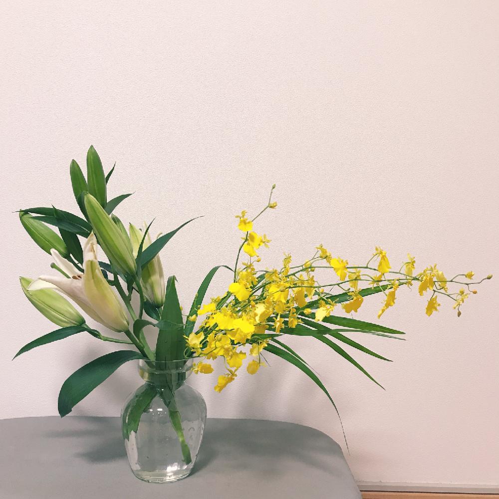 カサブランカの投稿画像 By Kiiniiさん オンシジウムと花瓶と花束と花のある暮らし 17月10月1日 Greensnap グリーンスナップ