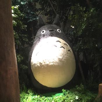 トトロ の投稿画像一覧 Greensnap グリーンスナップ