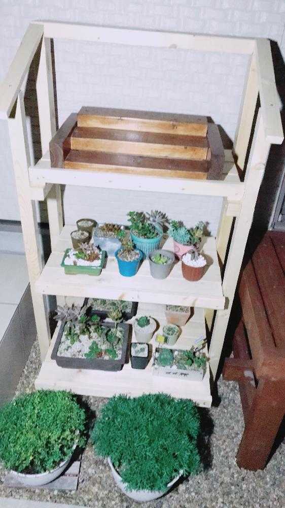 多肉植物用の棚作り｜🍀GreenSnap（グリーンスナップ）