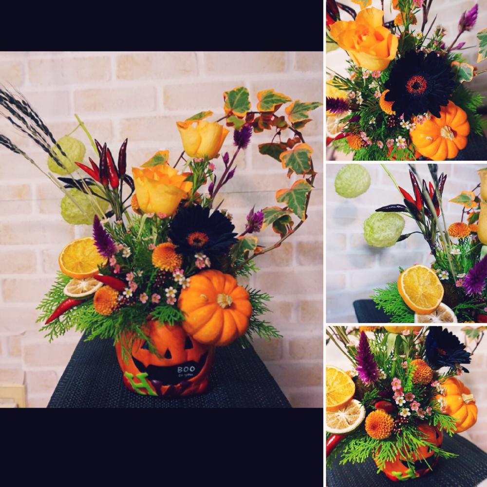 ミニカボチャの投稿画像 By えみさん 薔薇とアイビーと鷹の爪とフウセントウワタとセロシア ノゲイトウ とガーベラとヒバとワックスフラワーとピンポンマムと黒米 17月10月28日 Greensnap グリーンスナップ