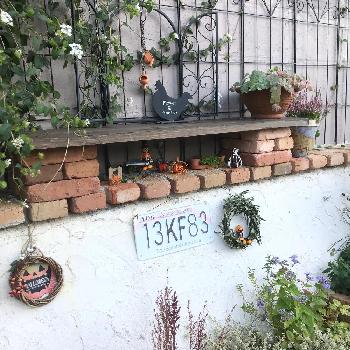 ハロウィンパーティ祭りの画像 by amiさん | 小さな庭とユーカリとミセバヤとコバノランタナとコキア(ホウキグサ)と西洋フジバカマとシルバータイムとセダムとセンベルビウムとカルーナと植物のある暮らしとレンガの花壇とハロウィンコンテスト2017と手作りの庭とno green no lifeと花壇DIYと漆喰壁DIYとガーデニングと花のある暮らしとami's gardenとキュンキュン乙女倶楽部とハロウィンパーティ祭りとリメ缶