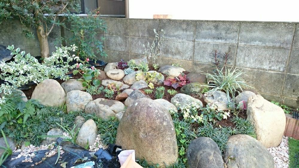 南側花壇の作成の記録 Greensnap グリーンスナップ