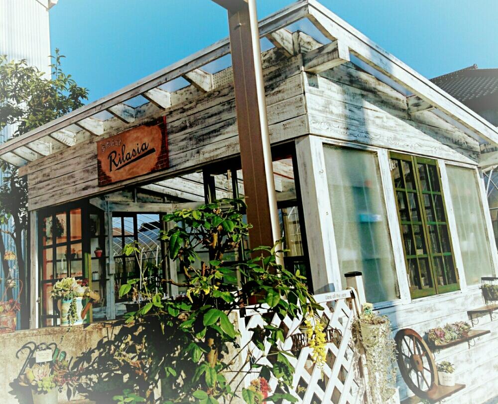 多肉植物の投稿画像 By Ricoさん Open特別価格とイベントとshop小屋と寄せ植えと多肉のある暮らしと多肉女子と茨城タニラーと11 29openとshop Rilasia 17月11月11日 Greensnap グリーンスナップ