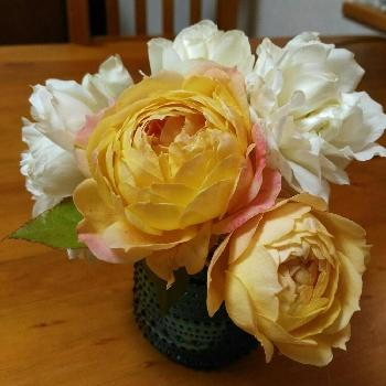 ✿ dayanとお花たち ✿の画像 by dayanさん | 部屋とキャラメルアンティークとホワイトメイディランドと薔薇愛同盟と✿ dayanとお花たち ✿とナチュラルスタイルとロザリアンと大人かわいい♪とdayan's roseとバラを楽しむと切り花