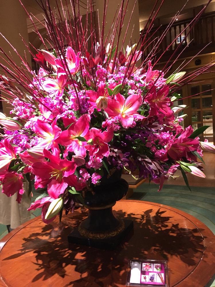 ユリの投稿画像 By ピコさん ストックとサンゴミズキとピンクの花と花のある暮らしとホテルのロビー 17月11月13日 Greensnap グリーンスナップ