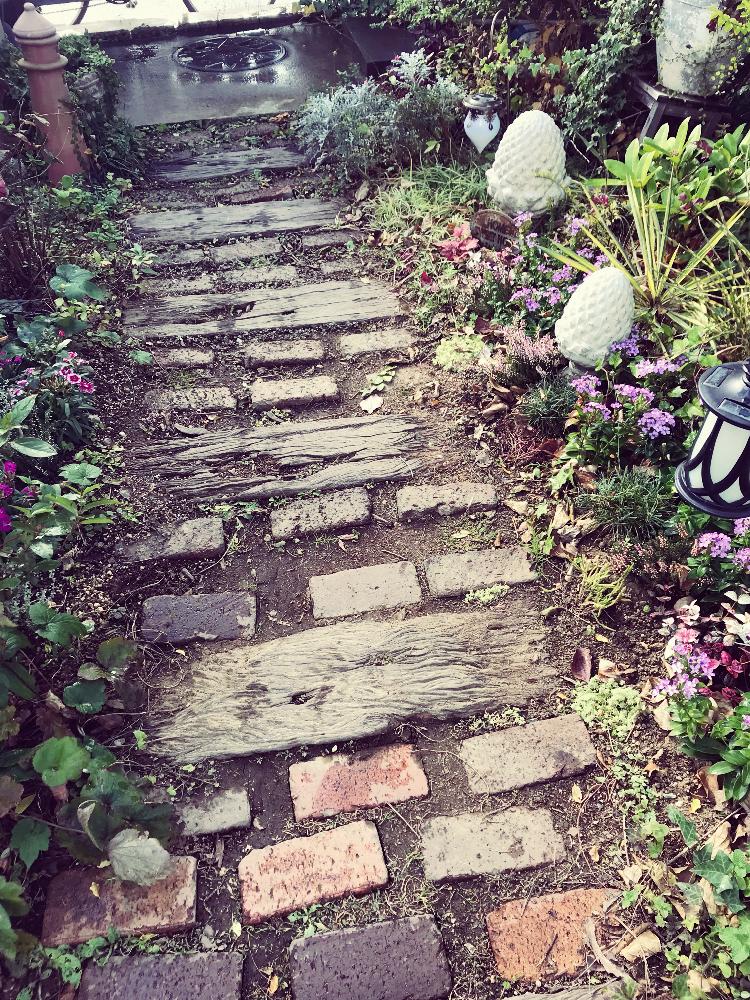 しまむら園芸さんの投稿画像 By Momoippuさん シマムラ園芸とシマムラ園芸さん大好きです 17月11月13日 Greensnap グリーンスナップ