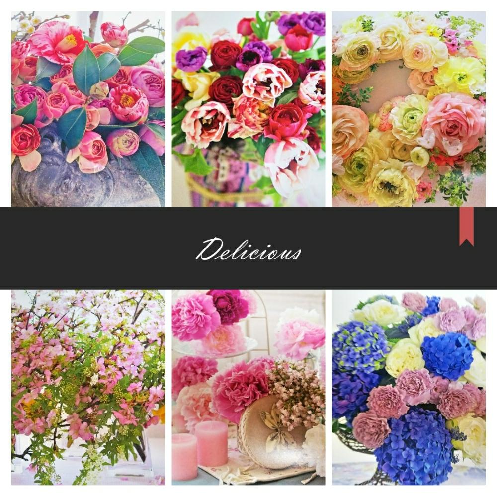 アジサイの投稿画像 By はるみさん シャクヤクとサクラとラナンキュラスとチューリップとツバキと花のある暮らしとおしゃれ と癒し系と今日の一枚 17月11月日 Greensnap グリーンスナップ