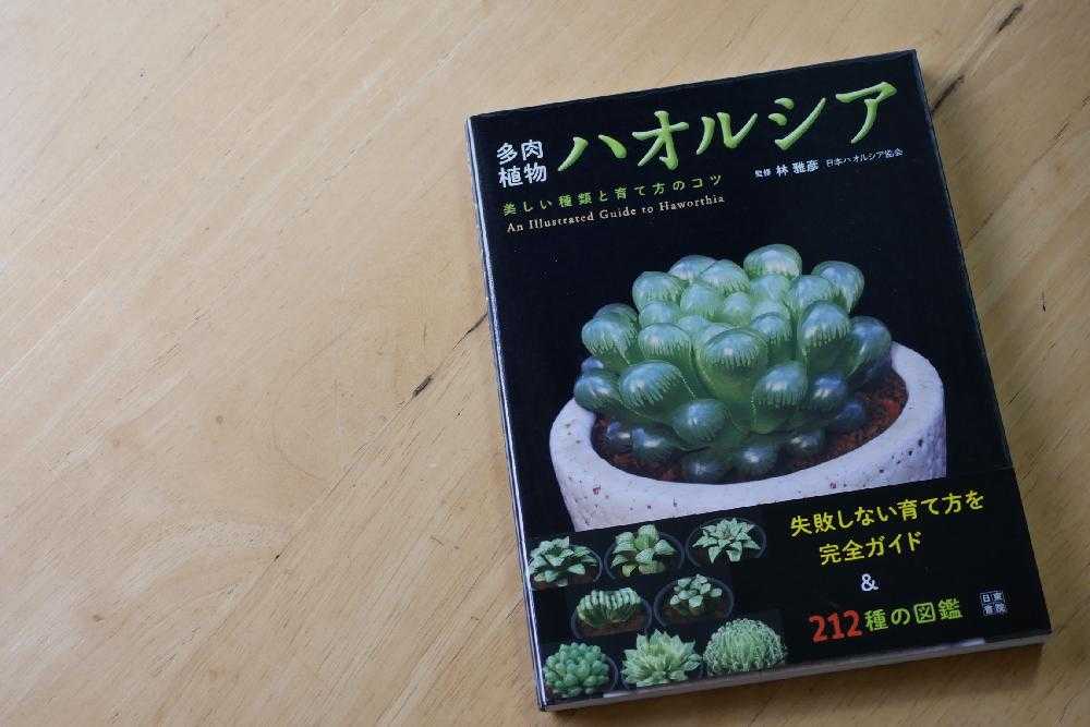 多肉本を探す おじさん Greensnap グリーンスナップ