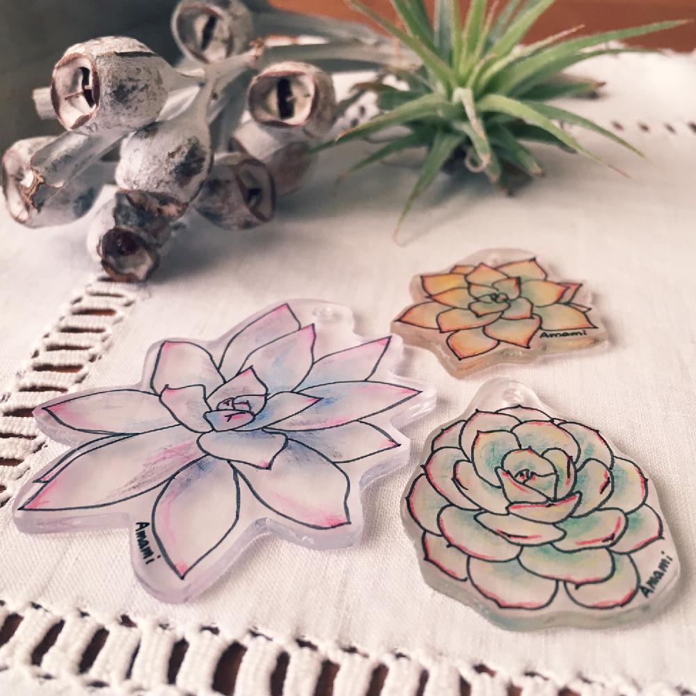 部屋の投稿画像 By Amamiさん 多肉植物とdiy Handmadeコンテストと多肉の似顔絵とハンドメイドとタニラーとamamiのプラバン と300いいねと多肉植物とdiy Handmadeコンテストと多肉の似顔絵とハンドメイドとタニラーとamamiのプラバン 17月11月25日 Greensnap