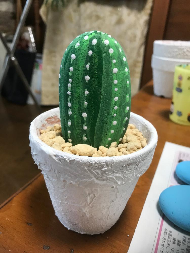 今日の一枚の投稿画像 By ふーこさん 17月11月25日 Greensnap グリーンスナップ