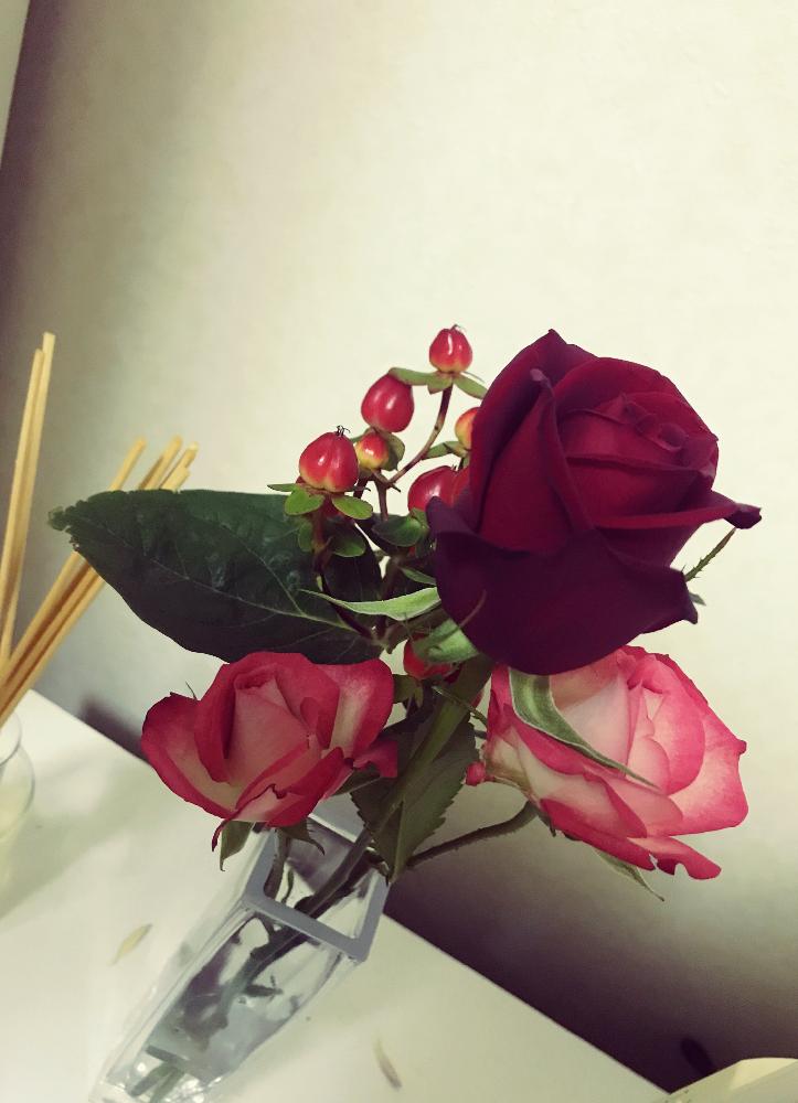 ヒペリカムの投稿画像 By かよーんさん バラとスプレーバラと部屋と今週の花と青山フラワーマーケットと植中毒と今週のお花と花 のある暮らしと切り花とクリスマスと今週の花と青山フラワーマーケットと植中毒と今週のお花と花のある暮らしと切り花とクリスマス 17月11
