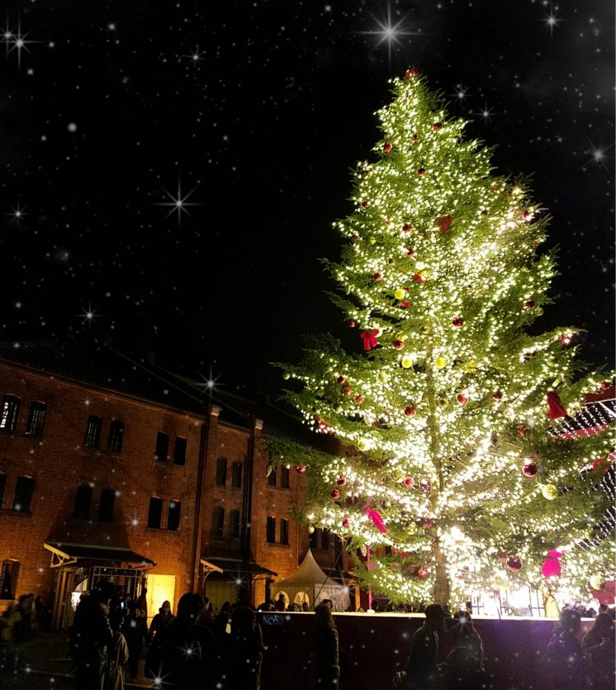 クリスマスツリーの投稿画像 By まりりんママさん 横浜と月もきれいでした と赤レンガ倉庫と神奈川県の風景 2017月12月4日 Greensnap グリーンスナップ