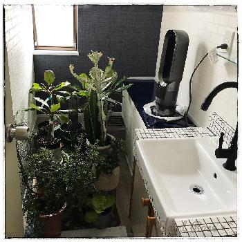 逃げてーの投稿画像一覧 Greensnap グリーンスナップ