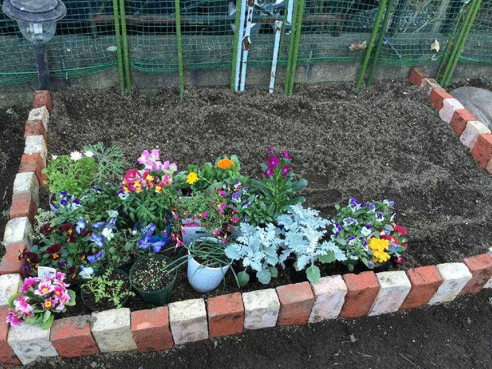 祖母の家の庭づくり3 Greensnap グリーンスナップ