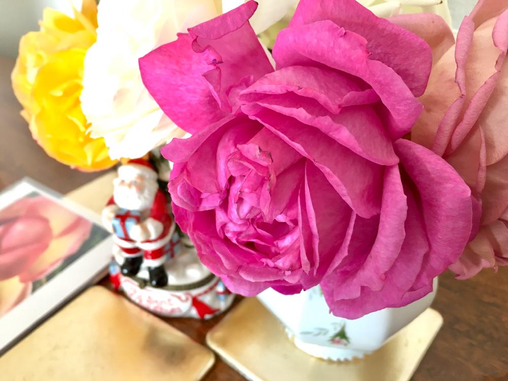 イブピアッチェの投稿画像 By Kiraraさん バラと薔薇愛同盟ときれいと植中毒と花のある暮らしと薔薇 と切り花といい香り 17月12月18日 Greensnap グリーンスナップ